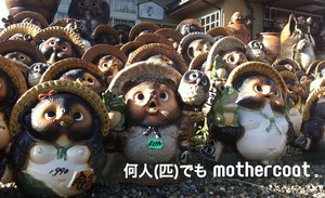 tanuki.jpg